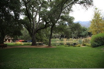 Enlarge photo 37