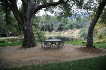 Enlarge photo 39