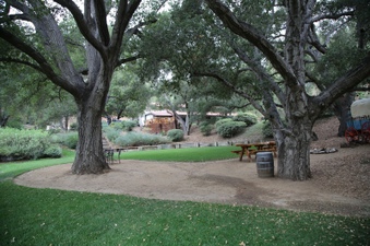 Enlarge photo 41