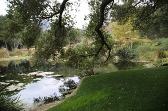 Enlarge photo 42