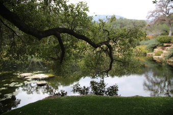 Enlarge photo 43