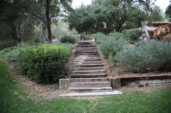 Enlarge photo 45