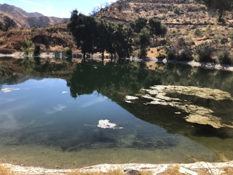 Enlarge photo 35