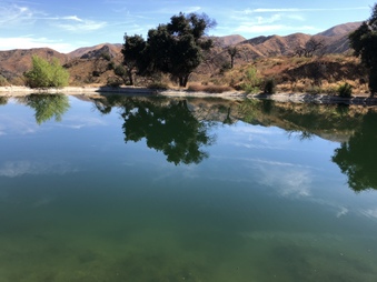 Enlarge photo 38