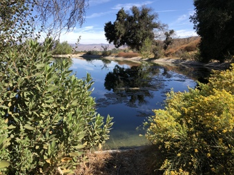 Enlarge photo 43