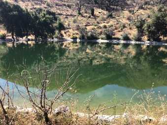 Enlarge photo 47