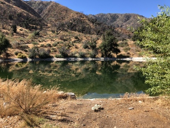 Enlarge photo 46