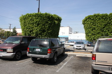 Enlarge photo 25