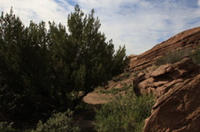 Enlarge photo 5