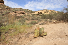 Enlarge photo 10
