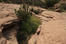Enlarge photo 12