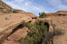 Enlarge photo 14
