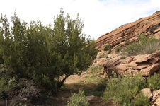 Enlarge photo 17