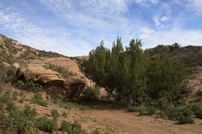 Enlarge photo 19
