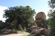 Enlarge photo 2