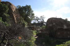 Enlarge photo 5