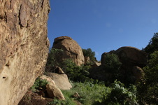Enlarge photo 7