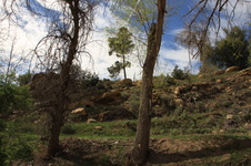 Enlarge photo 8