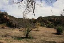 Enlarge photo 3