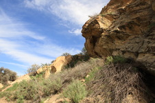 Enlarge photo 11