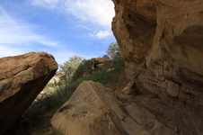 Enlarge photo 12