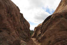 Enlarge photo 7