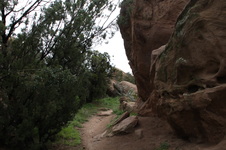 Enlarge photo 10