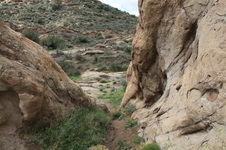 Enlarge photo 15