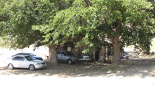 Enlarge photo 23