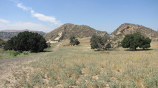 Enlarge photo 42