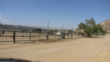 Enlarge photo 45