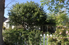 Enlarge photo 4