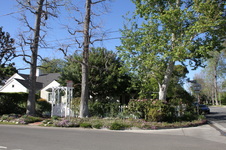 Enlarge photo 5