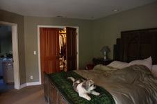 Enlarge photo 25