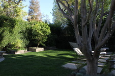 Enlarge photo 35
