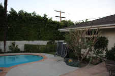 Enlarge photo 32