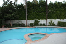 Enlarge photo 31