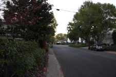 Enlarge photo 38