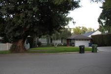 Enlarge photo 33