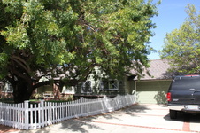 Enlarge photo 40
