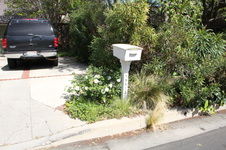 Enlarge photo 41