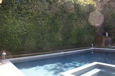 Enlarge photo 32