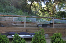 Enlarge photo 41
