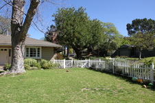 Enlarge photo 43