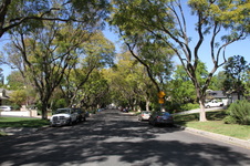 Enlarge photo 45