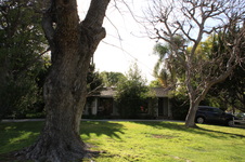 Enlarge photo 40