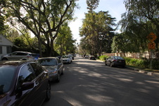 Enlarge photo 42