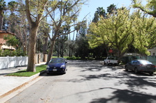 Enlarge photo 47