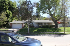 Enlarge photo 44