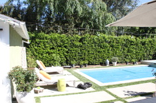 Enlarge photo 27